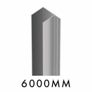 SFS - F Section - M